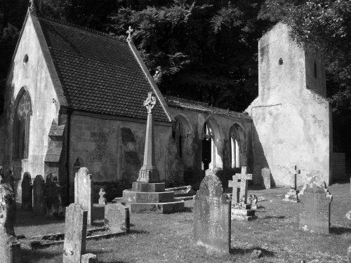 Bicton Park Botanical Gardens in Budleigh Salterton