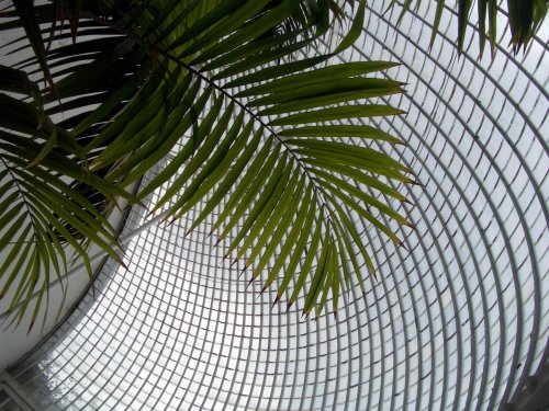 Bicton Park Botanical Gardens in Budleigh Salterton