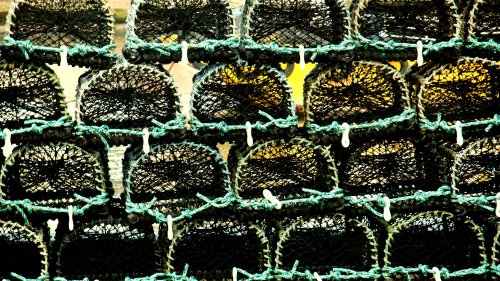 Lobster pots on the quayside