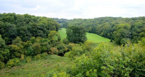 Went Valley August 2010