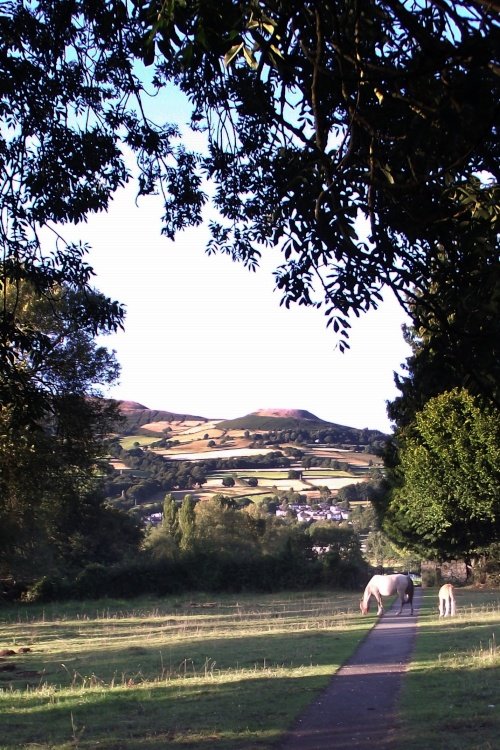 View Of Crickhowell From Llangattock