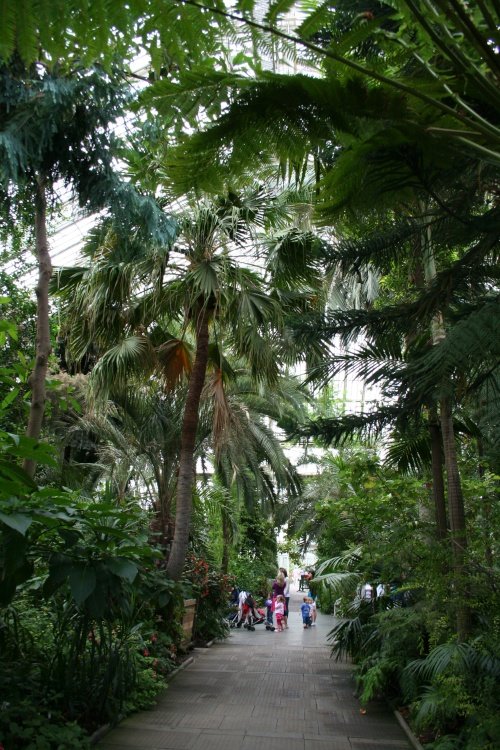 Kew Royal Botanical Gardens, Kew.