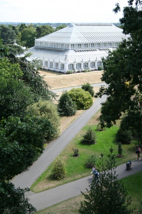 Kew Royal Botanical Gardens, Kew.