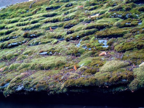 Roof over Village Stocks