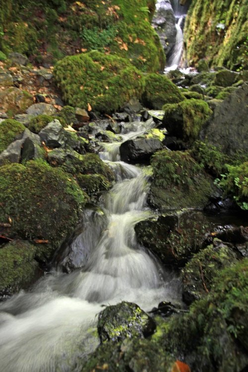 Around Canonteign Falls
