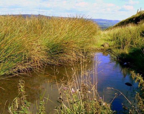At the foot of Mam Torr