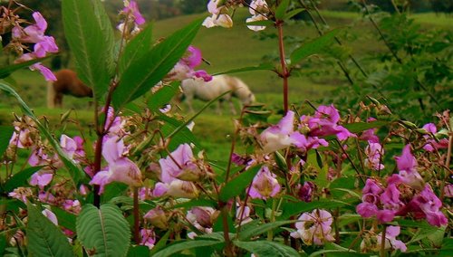 View from the fields