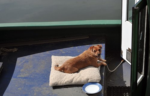 Dapdune Wharf, Guildford, Surrey.