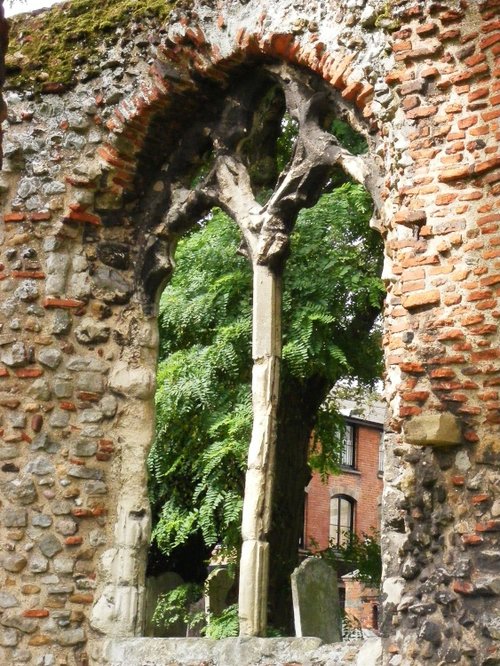 Through the Arched Window