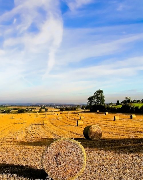 Country Farms Pictures of England