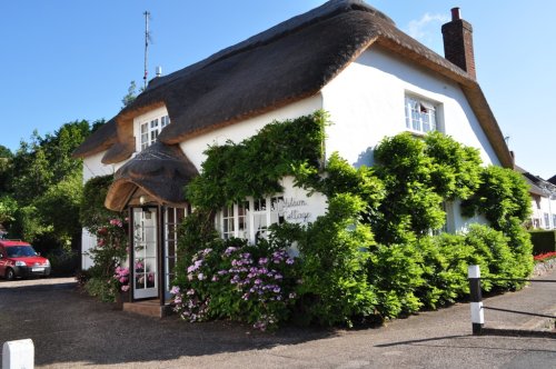 Ladram Bay, Sidmouth, Devon