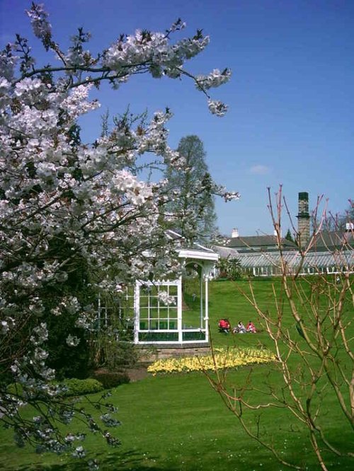 Birmingham Botanical Gardens in Bloom - Part 2
