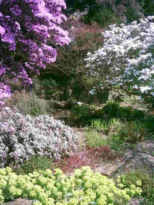 Birmingham Botanical Gardens in Bloom - Part 5