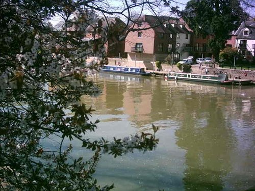 Evesham - view of the River Avon in bloom