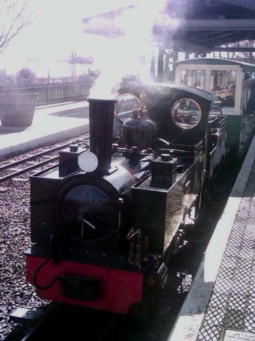 Evesham Country Park Evesham Country Park train ride - Part 2