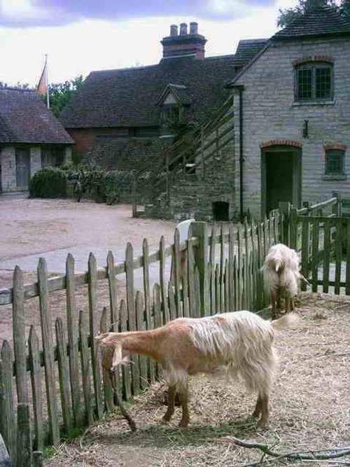 Stratford upon Avon - Mary Arden's Farm - Part 4