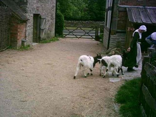 Stratford upon Avon - Mary Arden's Farm - Part 12