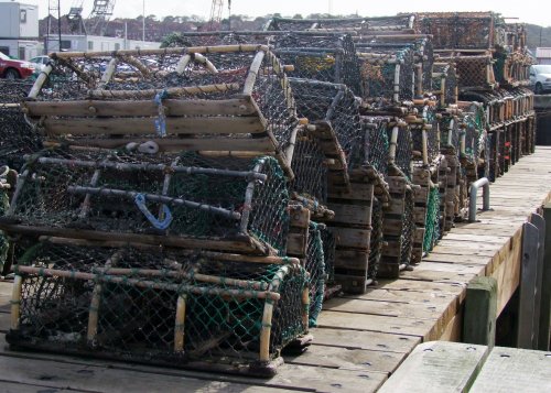 Lobster Pots October 2010