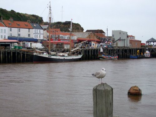 Whitby Harbour October 2010