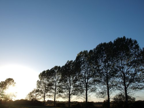 Low sun at Padbury, Bucks