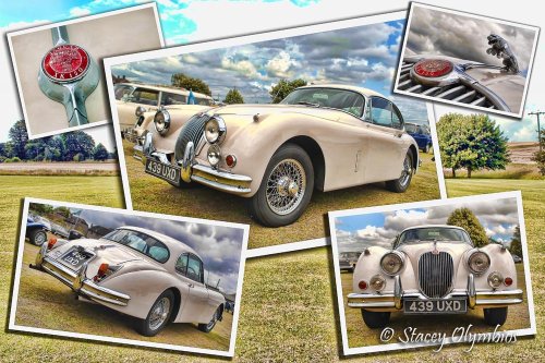 Classic Jaguar.