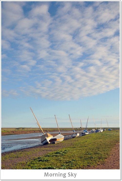 Morning Sky