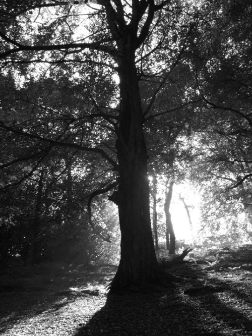 Jerusalem Farm, Booth, Halifax