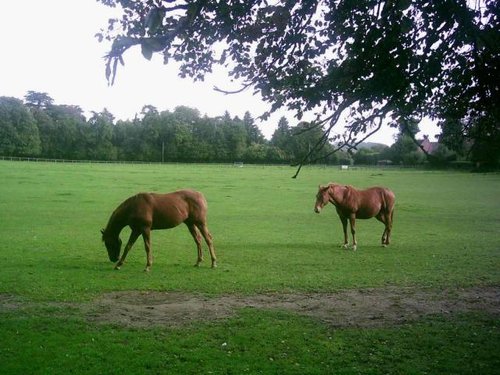Bourton on the Water - October 2010