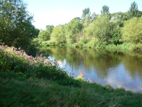 River Tees at Preston Hall, Eaglescliffe, County Durham