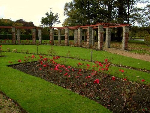 The Rose Garden