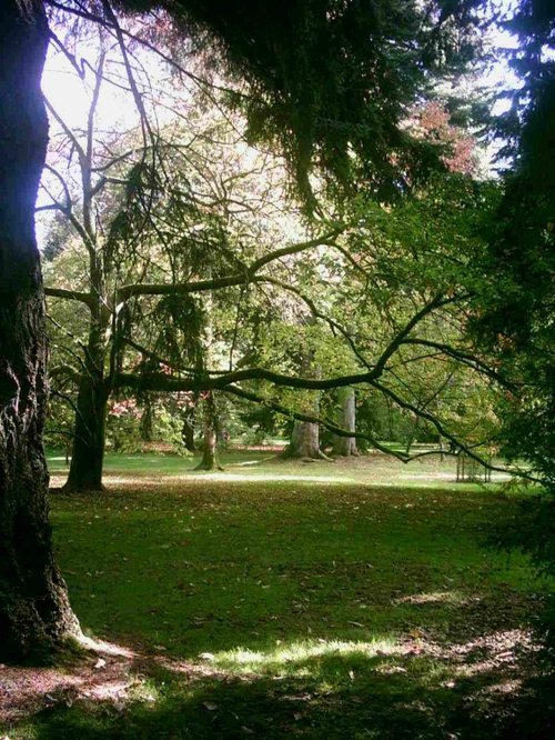 Westonbirt Arboretum - October 2010