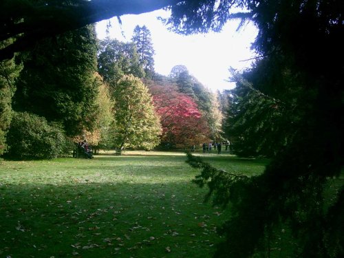 Westonbirt Arboretum - October 2010