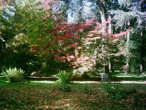 Westonbirt Arboretum - October 2010