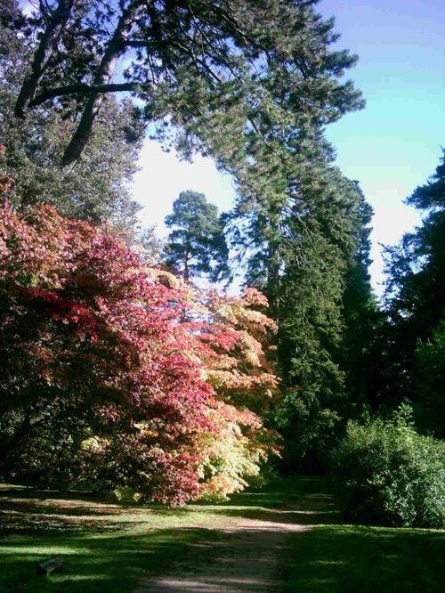 Westonbirt Arboretum - October 2010