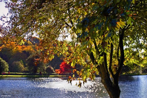 Stourton in Wiltshire