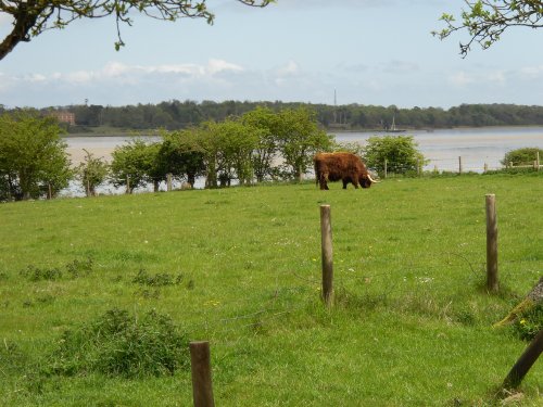 A farm and the River Alde in Iken