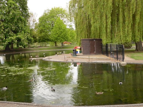 Colchester, pond in the castle park