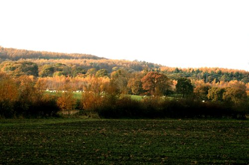 Autumn colours at Gateshead.