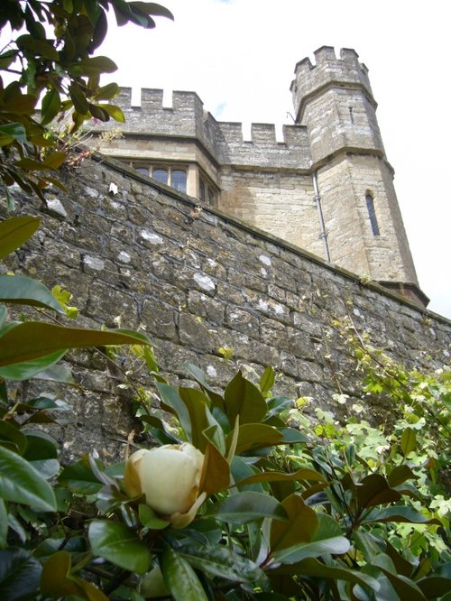 The Leeds castle, 2010