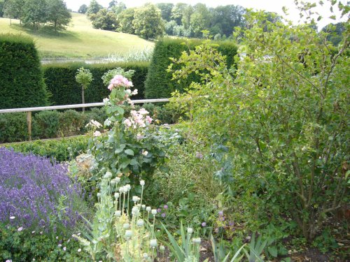 Park in the Leeds castle, 2010