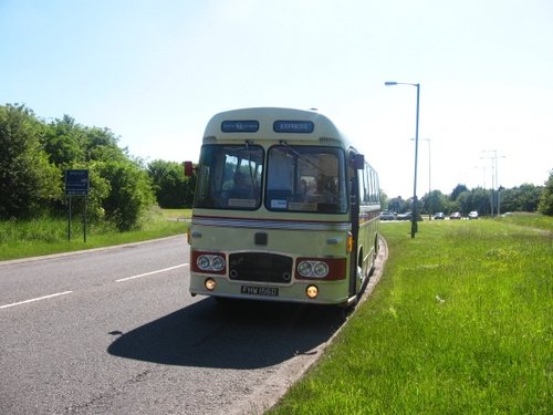 Bamfurlong Greyhound
