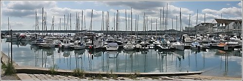 Masts in the Marina
