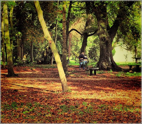 Romancing the Autumn