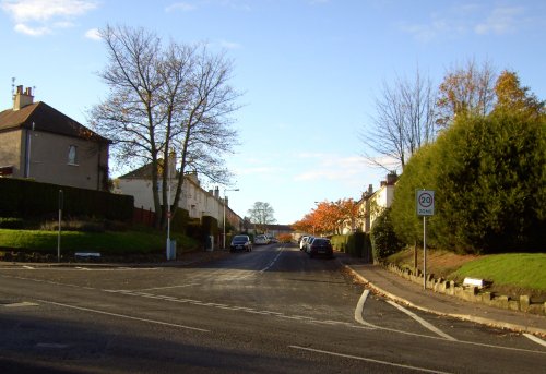 Winifred Street