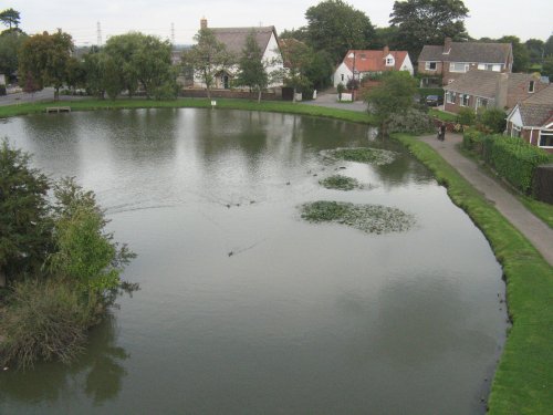 Birds eye view of Wootton pond.
