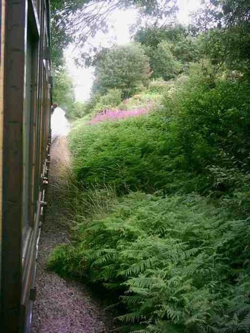 Severn Valley Steam Trains - July 2010