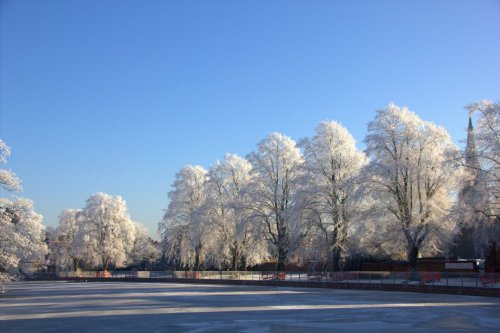 Frozen Trees, Minster Pool