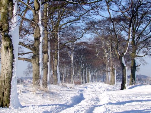 The Rookeries in December