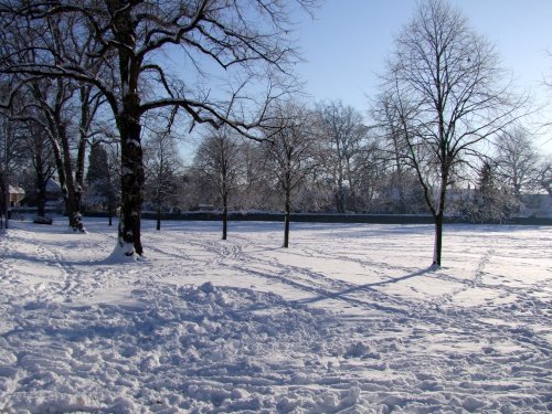 Carleton Green in the snow