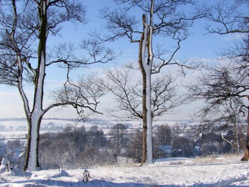 The Rookeries in December